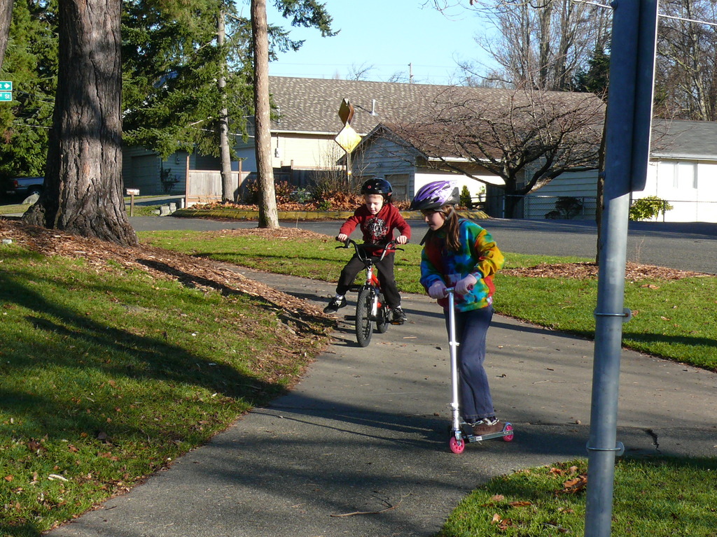 Bicycles_02.jpg 